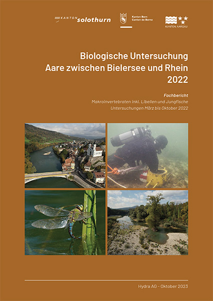 2023 Biologische Untersuchung Aare 2022 Fachbericht MZB Jungfische